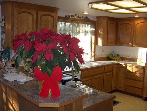 kitchen remodeling pictures